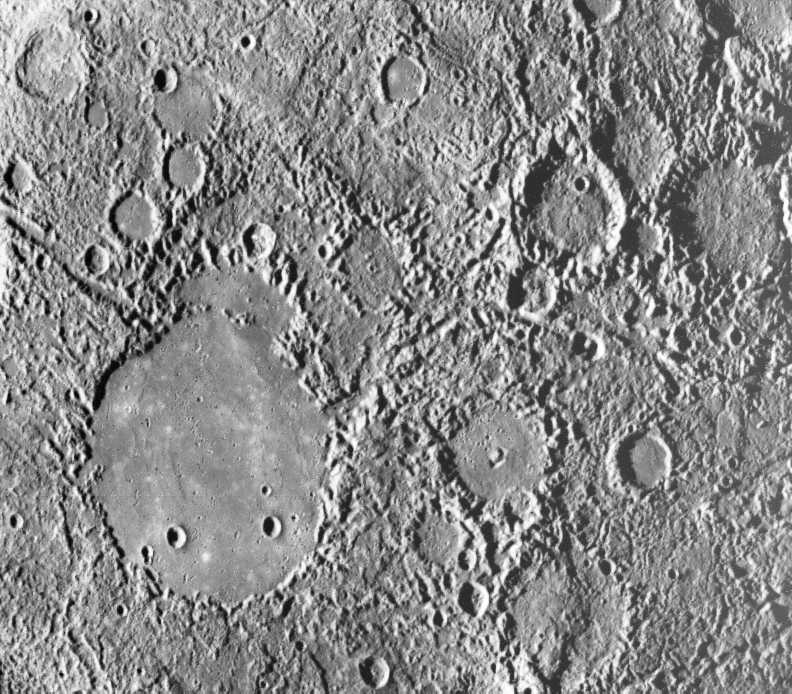 [Image: mercter.jpg]