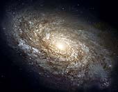 Spiral Galaxy