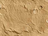 Mars: Valley Network