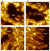 Solar Structures